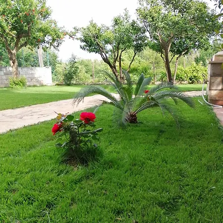 Green Park 2 דוברובניק